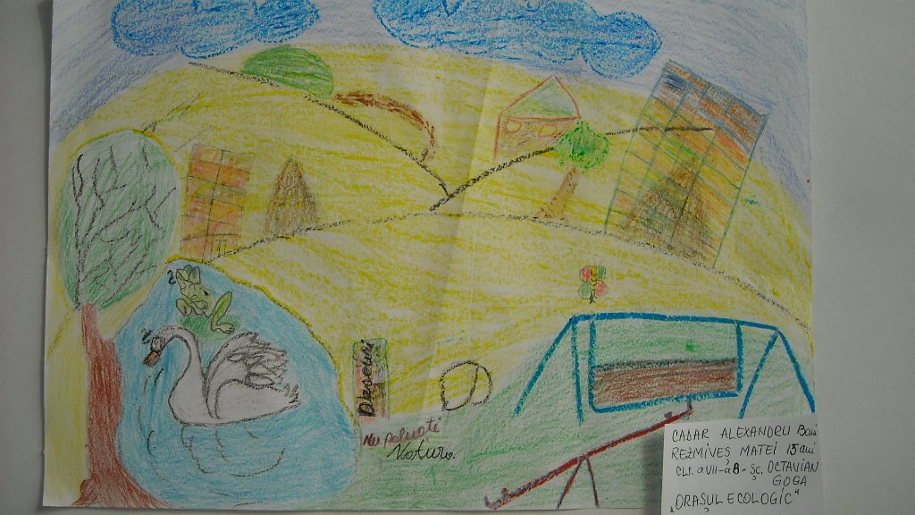 118_Cadar A-Rezmives M_Sc Goga BM.jpg